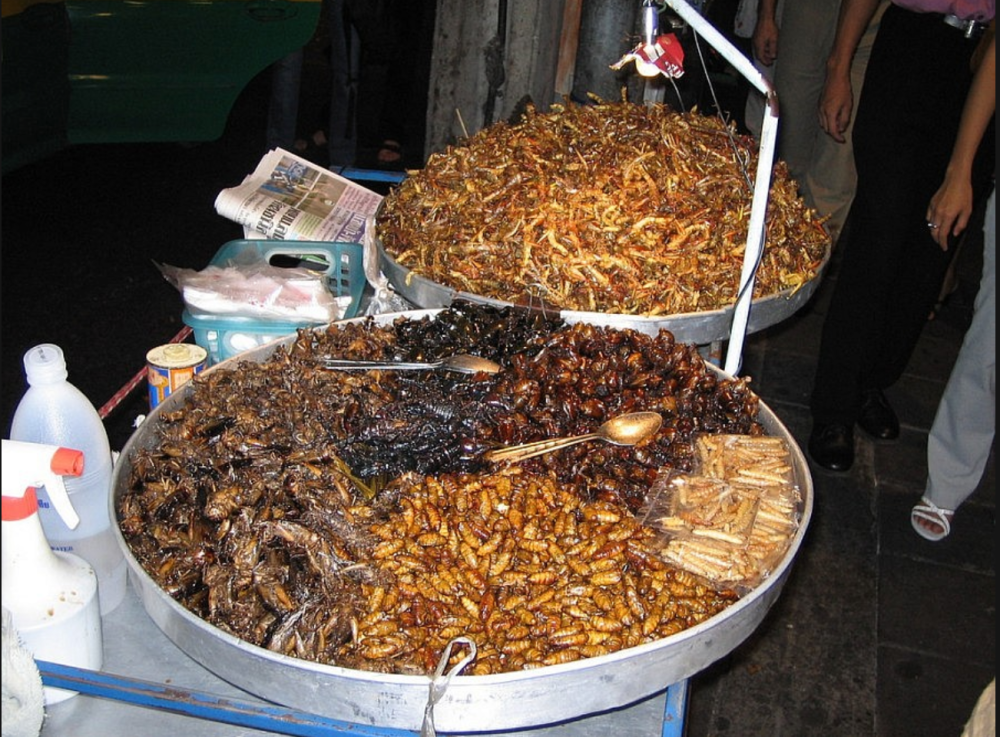 Schermata 2019-08-17 alle 21.38.41.png