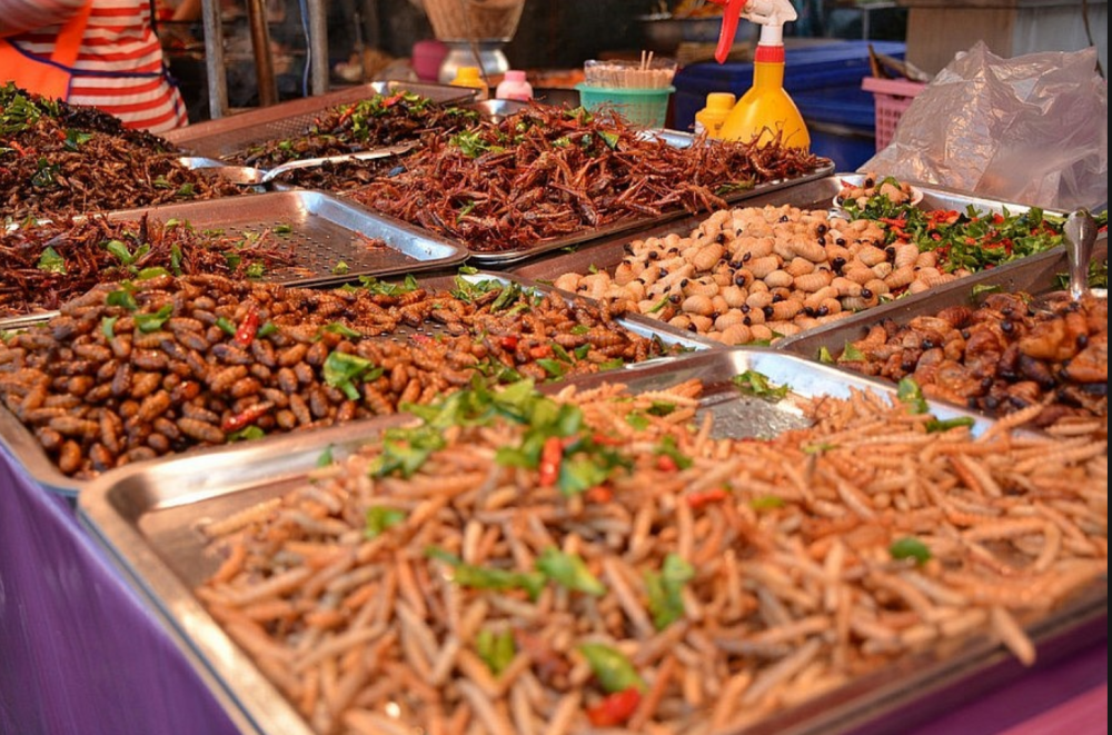 Schermata 2019-08-17 alle 21.39.03.png